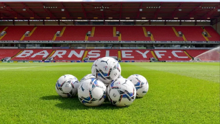 Barnsley look to buy Radek Videk