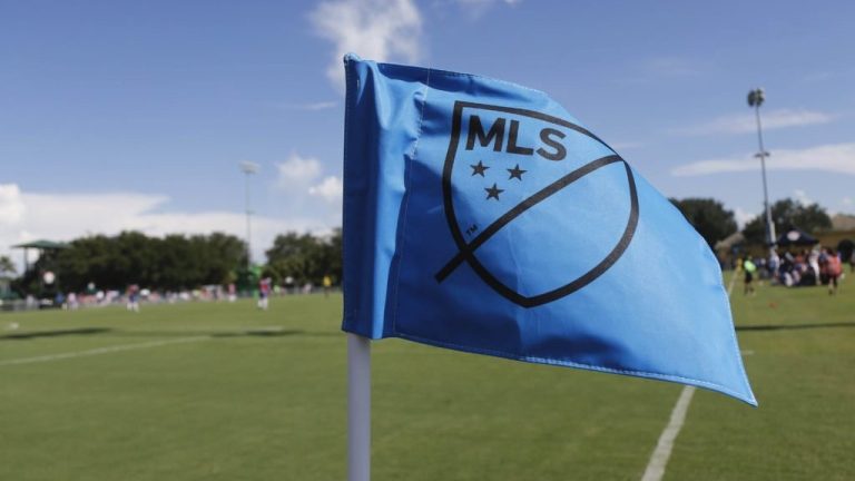 MLS Flag