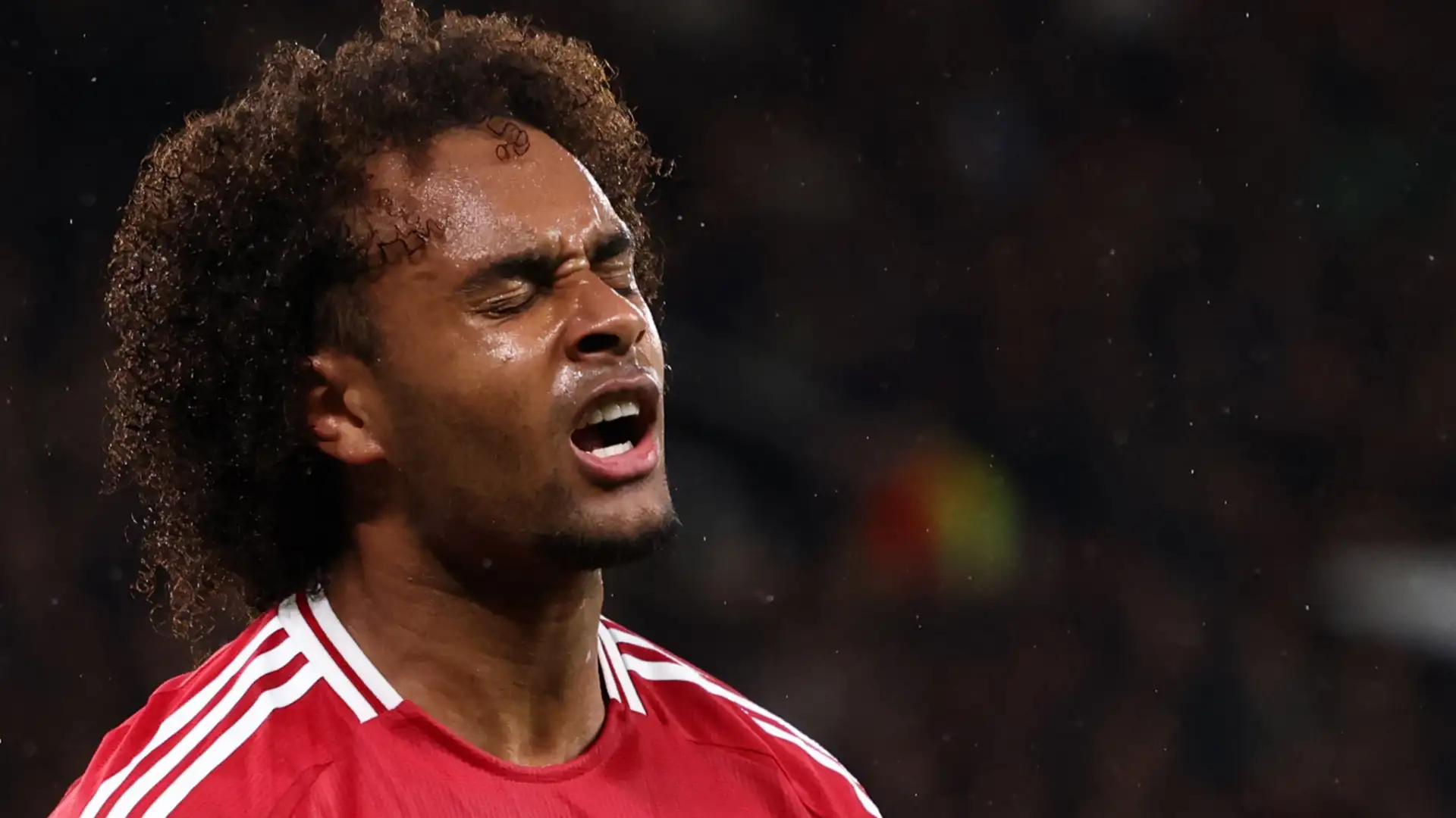 Joshua Zirkzee Manchester United