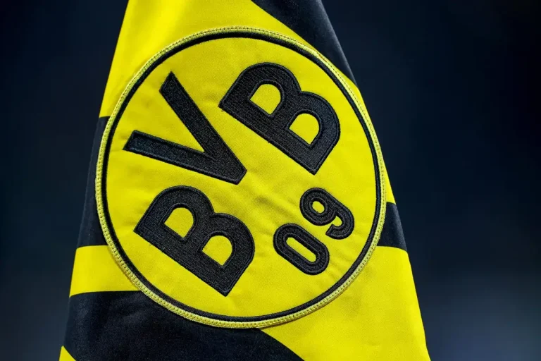 Borussia Dortmund flag