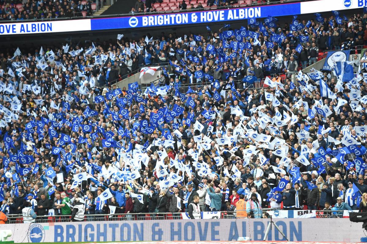 Brighton and Hove Albion