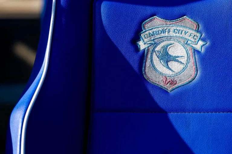 Cardiff City Emblem on seat